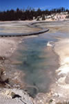 yellowstone-pond