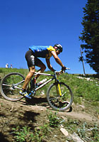 마운틴 바이크(산악자전거)